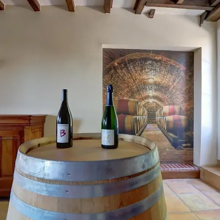 Hébergement de vacances La Grappe Occitane - 14 Personnes - Piscine Privée *